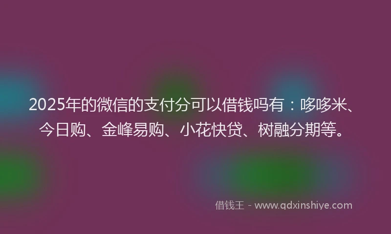 2025年的微信的支付分可以借钱吗有：哆哆米、今日购、金峰易购、小花快贷、树融分期等。