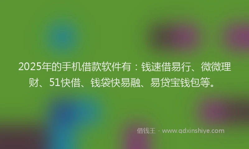 2025年的手机借款软件有：钱速借易行、微微理财、51快借、钱袋快易融、易贷宝钱包等。