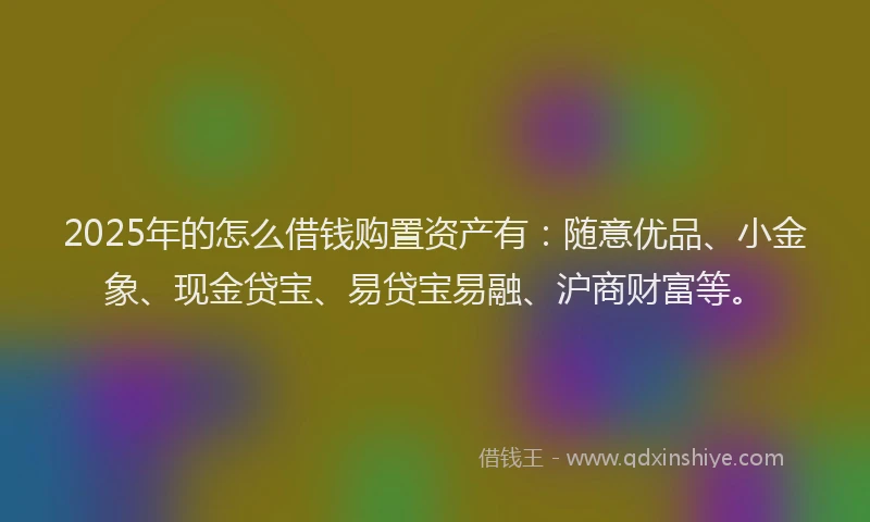2025年的怎么借钱购置资产有：随意优品、小金象、现金贷宝、易贷宝易融、沪商财富等。