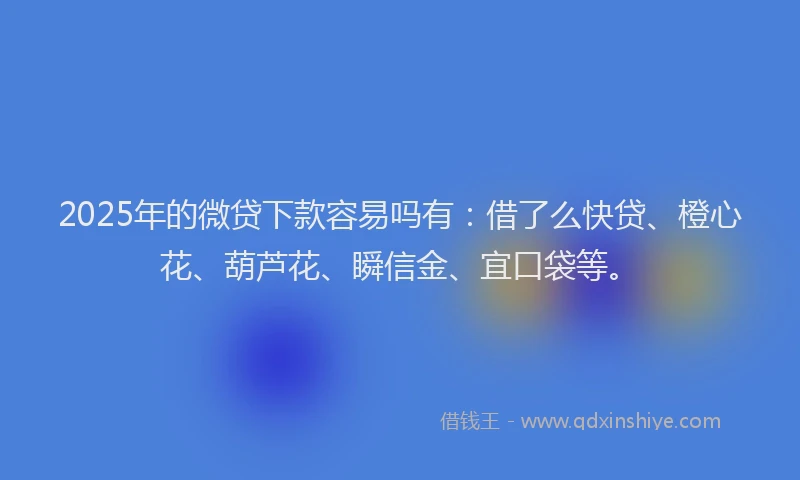 2025年的微贷下款容易吗有：借了么快贷、橙心花、葫芦花、瞬信金、宜口袋等。