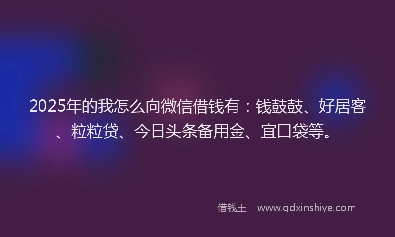 2025年的我怎么向微信借钱有：钱鼓鼓、好居客、粒粒贷、今日头条备用金、宜口袋等。