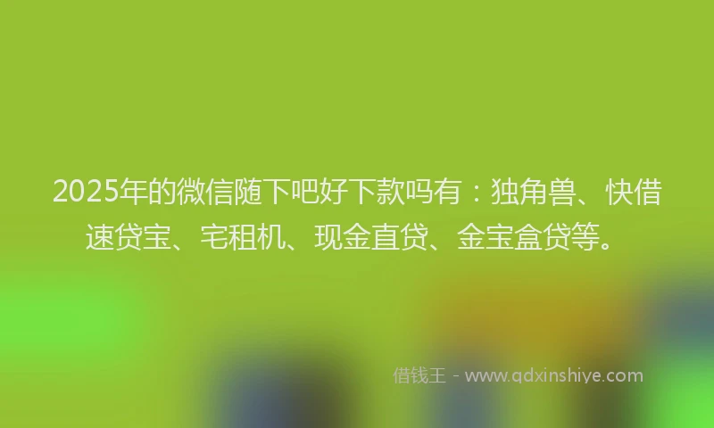 2025年的微信随下吧好下款吗有：独角兽、快借速贷宝、宅租机、现金直贷、金宝盒贷等。