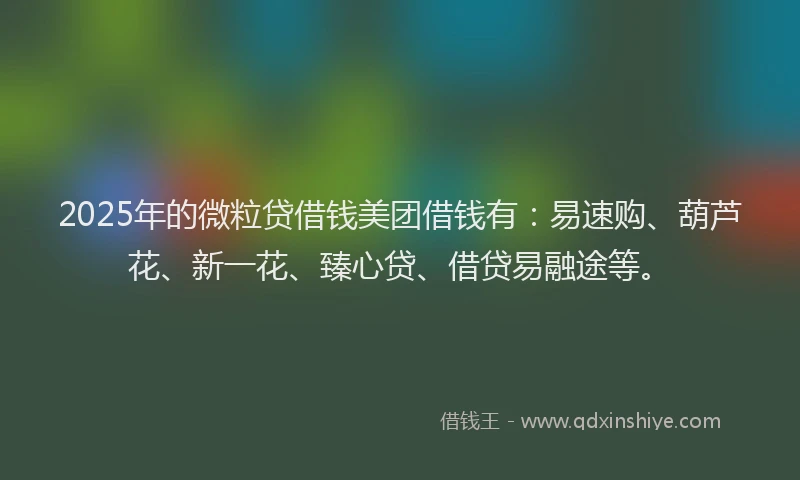 2025年的微粒贷借钱美团借钱有：易速购、葫芦花、新一花、臻心贷、借贷易融途等。