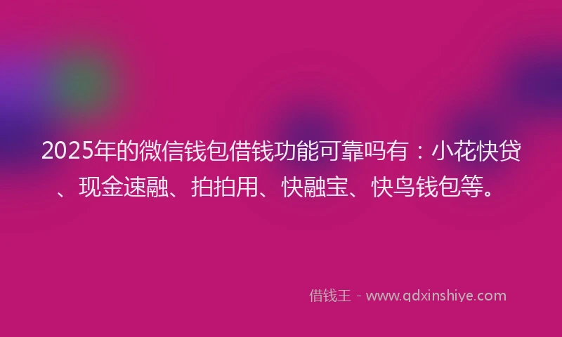 2025年的微信钱包借钱功能可靠吗有：小花快贷、现金速融、拍拍用、快融宝、快鸟钱包等。