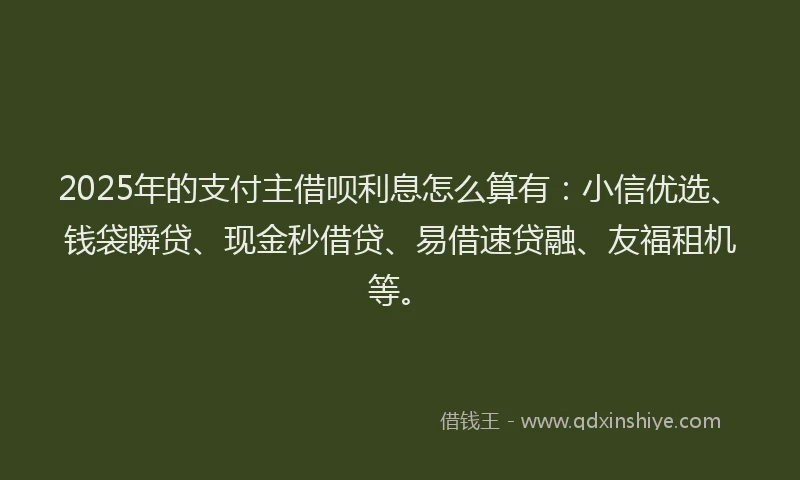 2025年的支付主借呗利息怎么算有：小信优选、钱袋瞬贷、现金秒借贷、易借速贷融、友福租机等。