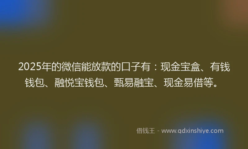 2025年的微信能放款的口子有：现金宝盒、有钱钱包、融悦宝钱包、甄易融宝、现金易借等。