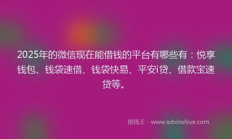 2025年的微信现在能借钱的平台有哪些有：悦享钱包、钱袋速借、钱袋快易、平安i贷、借款宝速贷等。