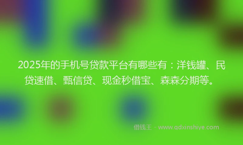 2025年的手机号贷款平台有哪些有：洋钱罐、民贷速借、甄信贷、现金秒借宝、森森分期等。