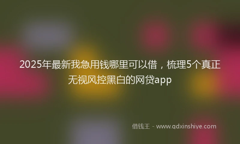 2025年最新我急用钱哪里可以借，梳理5个真正无视风控黑白的网贷app