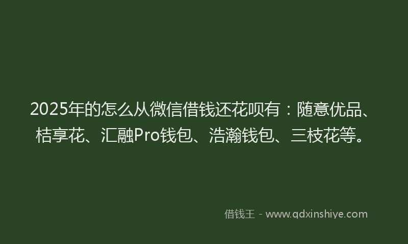 2025年的怎么从微信借钱还花呗有：随意优品、桔享花、汇融Pro钱包、浩瀚钱包、三枝花等。