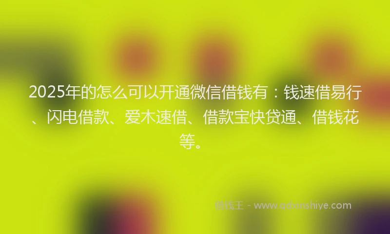 2025年的怎么可以开通微信借钱有：钱速借易行、闪电借款、爱木速借、借款宝快贷通、借钱花等。