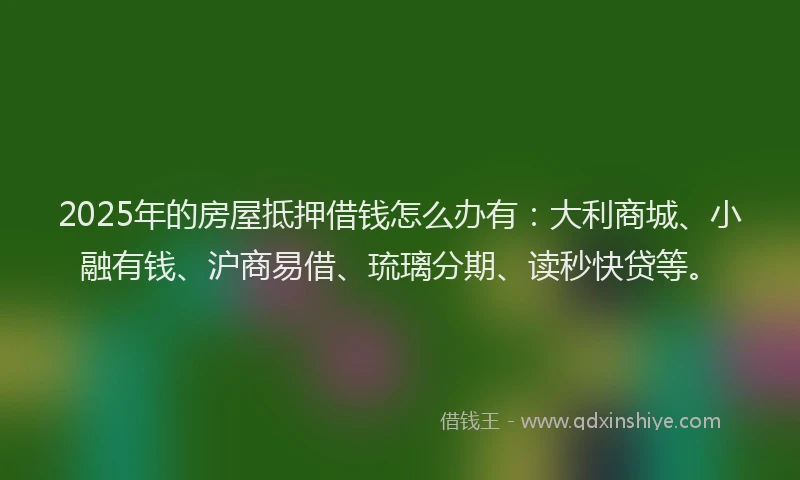2025年的房屋抵押借钱怎么办有：大利商城、小融有钱、沪商易借、琉璃分期、读秒快贷等。