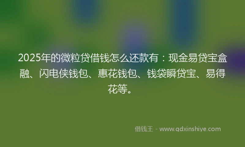2025年的微粒贷借钱怎么还款有：现金易贷宝盒融、闪电侠钱包、惠花钱包、钱袋瞬贷宝、易得花等。