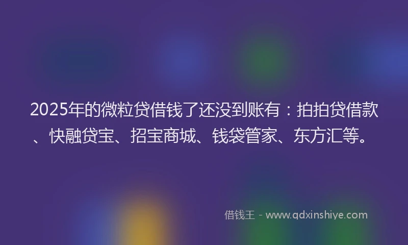 2025年的微粒贷借钱了还没到账有：拍拍贷借款、快融贷宝、招宝商城、钱袋管家、东方汇等。
