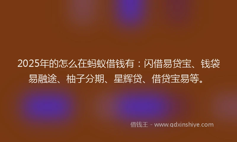2025年的怎么在蚂蚁借钱有：闪借易贷宝、钱袋易融途、柚子分期、星辉贷、借贷宝易等。