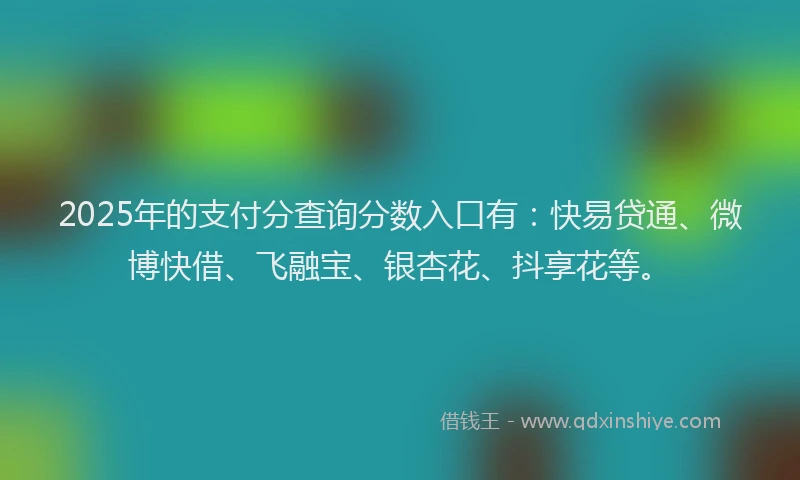 2025年的支付分查询分数入口有：快易贷通、微博快借、飞融宝、银杏花、抖享花等。