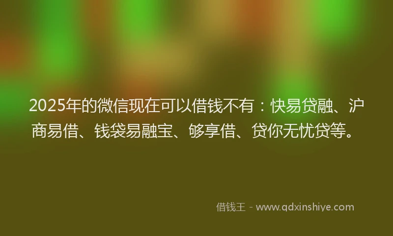 2025年的微信现在可以借钱不有：快易贷融、沪商易借、钱袋易融宝、够享借、贷你无忧贷等。