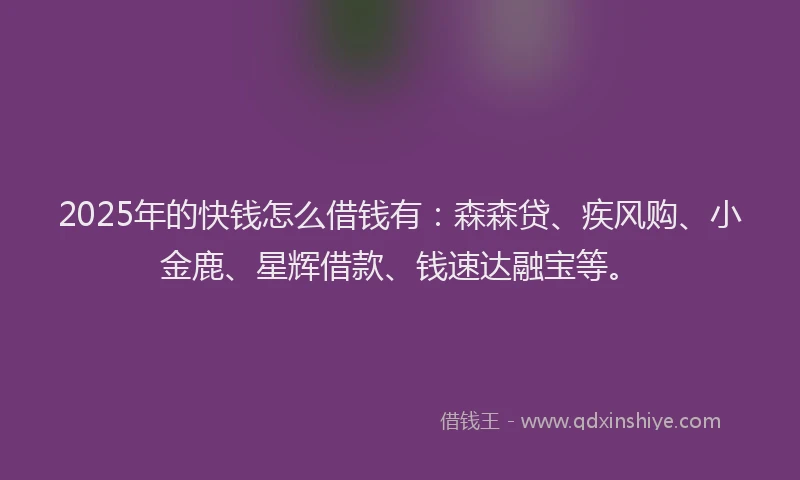 2025年的快钱怎么借钱有：森森贷、疾风购、小金鹿、星辉借款、钱速达融宝等。