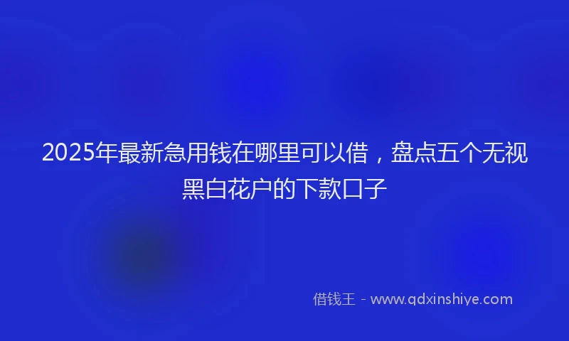 2025年最新急用钱在哪里可以借，盘点五个无视黑白花户的下款口子