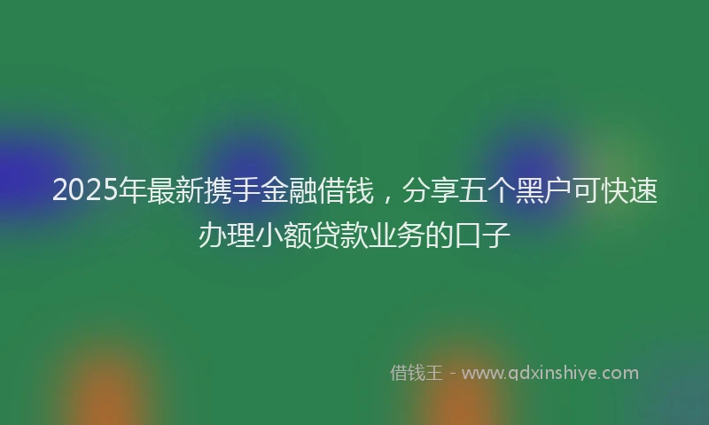 2025年最新携手金融借钱，分享五个黑户可快速办理小额贷款业务的口子