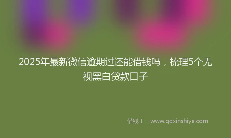 2025年最新微信逾期过还能借钱吗，梳理5个无视黑白贷款口子
