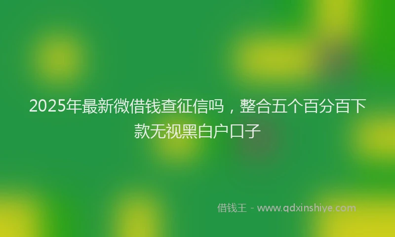 2025年最新微借钱查征信吗，整合五个百分百下款无视黑白户口子
