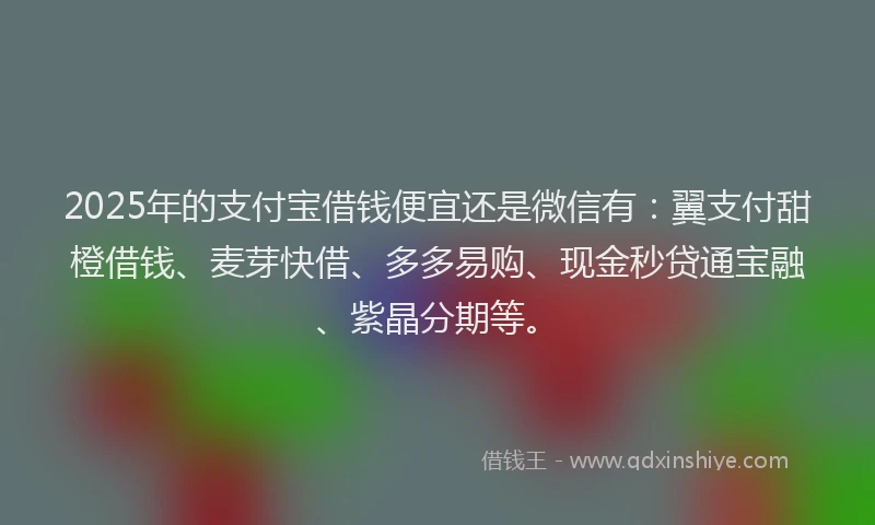 2025年的支付宝借钱便宜还是微信有：翼支付甜橙借钱、麦芽快借、多多易购、现金秒贷通宝融、紫晶分期等。