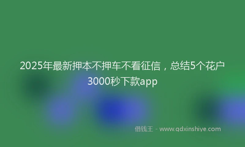 2025年最新押本不押车不看征信，总结5个花户3000秒下款app