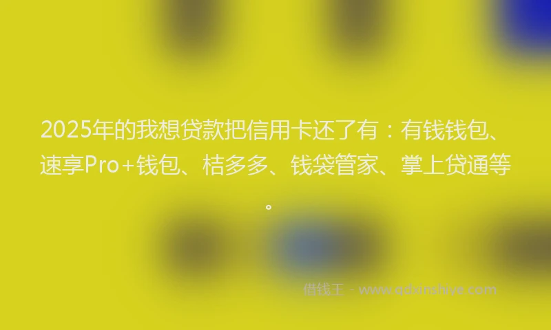 2025年的我想贷款把信用卡还了有：有钱钱包、速享Pro+钱包、桔多多、钱袋管家、掌上贷通等。