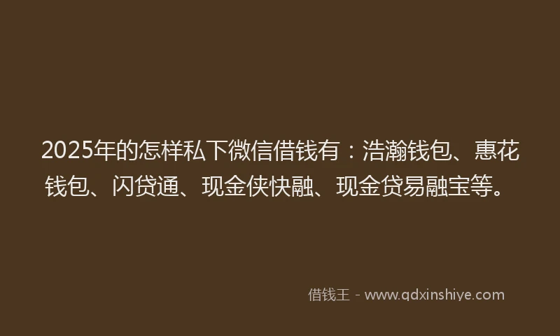 2025年的怎样私下微信借钱有：浩瀚钱包、惠花钱包、闪贷通、现金侠快融、现金贷易融宝等。