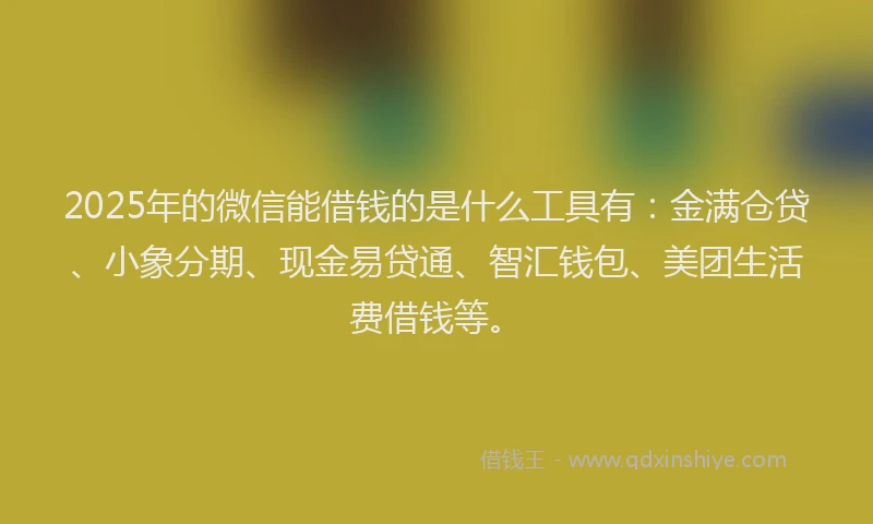 2025年的微信能借钱的是什么工具有:金满仓贷、小象分期、现金易贷通、智汇钱包、美团生活费借钱等。