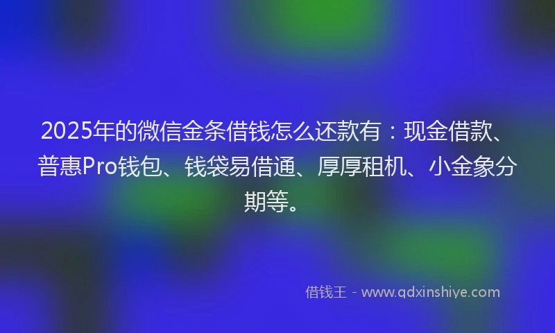 2025年的微信金条借钱怎么还款有：现金借款、普惠Pro钱包、钱袋易借通、厚厚租机、小金象分期等。
