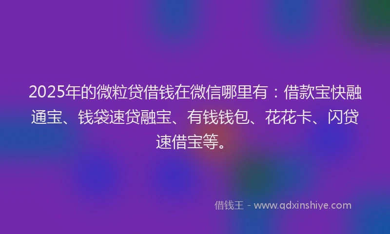 2025年的微粒贷借钱在微信哪里有：借款宝快融通宝、钱袋速贷融宝、有钱钱包、花花卡、闪贷速借宝等。