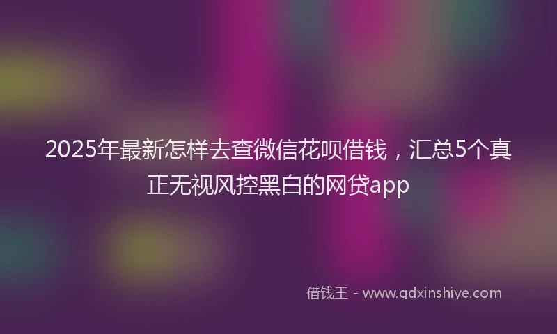 2025年最新怎样去查微信花呗借钱，汇总5个真正无视风控黑白的网贷app