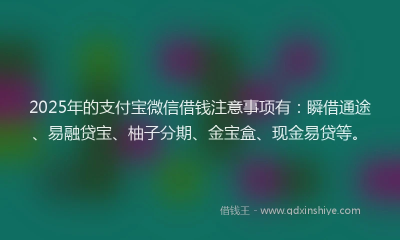 2025年的支付宝微信借钱注意事项有：瞬借通途、易融贷宝、柚子分期、金宝盒、现金易贷等。