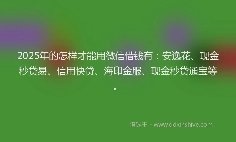 2025年的怎样才能用微信借钱有：安逸花、现金秒贷易、信用快贷、海印金服、现金秒贷通宝等。