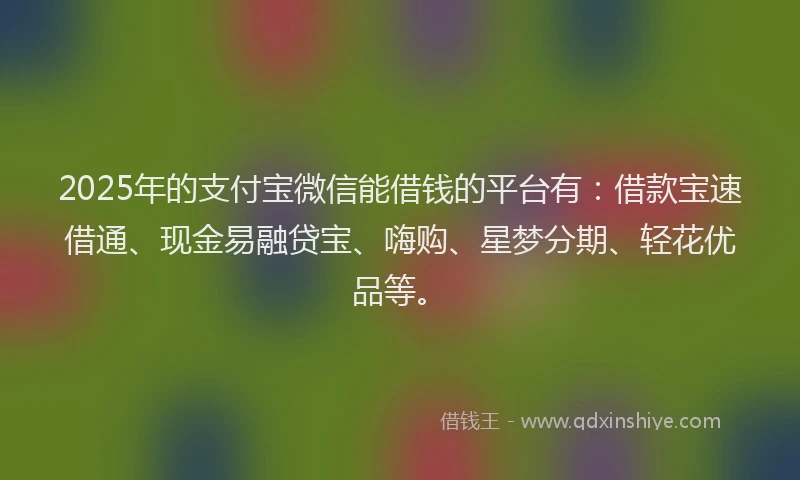 2025年的支付宝微信能借钱的平台有：借款宝速借通、现金易融贷宝、嗨购、星梦分期、轻花优品等。