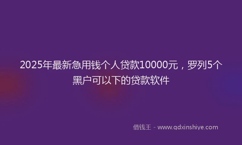 2025年最新急用钱个人贷款10000元，罗列5个黑户可以下的贷款软件