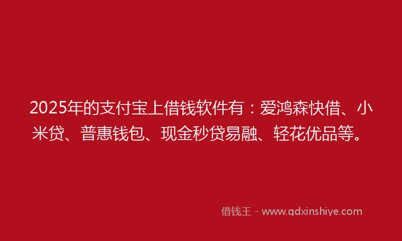 2025年的支付宝上借钱软件有：爱鸿森快借、小米贷、普惠钱包、现金秒贷易融、轻花优品等。