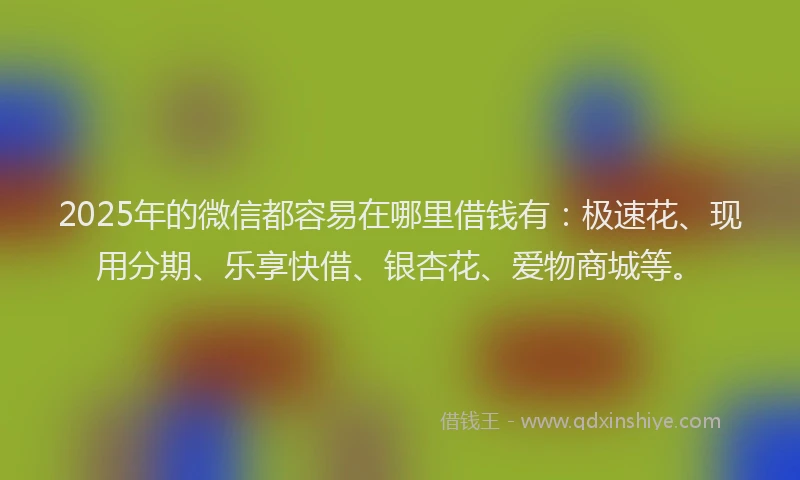 2025年的微信都容易在哪里借钱有：极速花、现用分期、乐享快借、银杏花、爱物商城等。