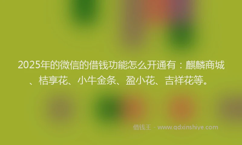 2025年的微信的借钱功能怎么开通有：麒麟商城、桔享花、小牛金条、盈小花、吉祥花等。