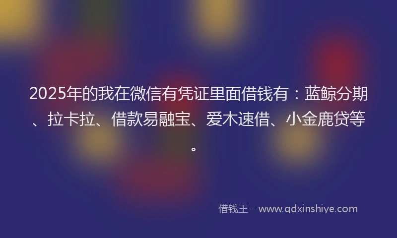 2025年的我在微信有凭证里面借钱有：蓝鲸分期、拉卡拉、借款易融宝、爱木速借、小金鹿贷等。