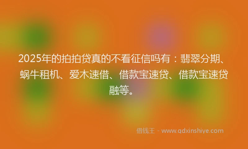 2025年的拍拍贷真的不看征信吗有：翡翠分期、蜗牛租机、爱木速借、借款宝速贷、借款宝速贷融等。