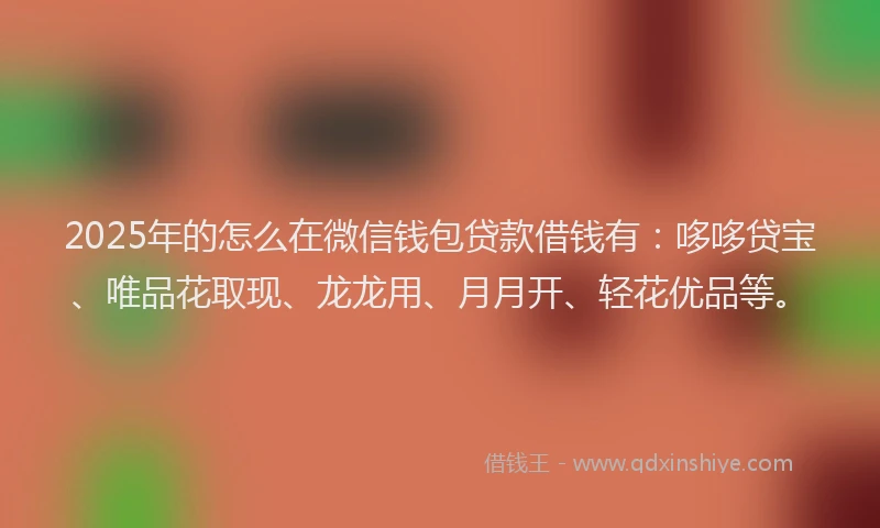 2025年的怎么在微信钱包贷款借钱有：哆哆贷宝、唯品花取现、龙龙用、月月开、轻花优品等。