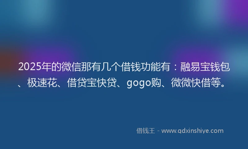 2025年的微信那有几个借钱功能有：融易宝钱包、极速花、借贷宝快贷、gogo购、微微快借等。