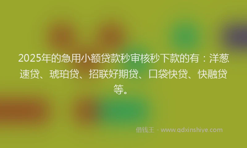 2025年的急用小额贷款秒审核秒下款的有：洋葱速贷、琥珀贷、招联好期贷、口袋快贷、快融贷等。
