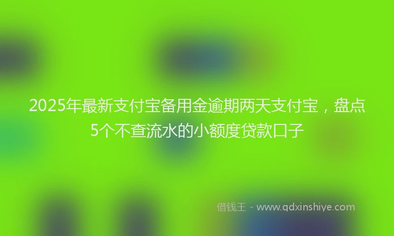 2025年最新支付宝备用金逾期两天支付宝，盘点5个不查流水的小额度贷款口子
