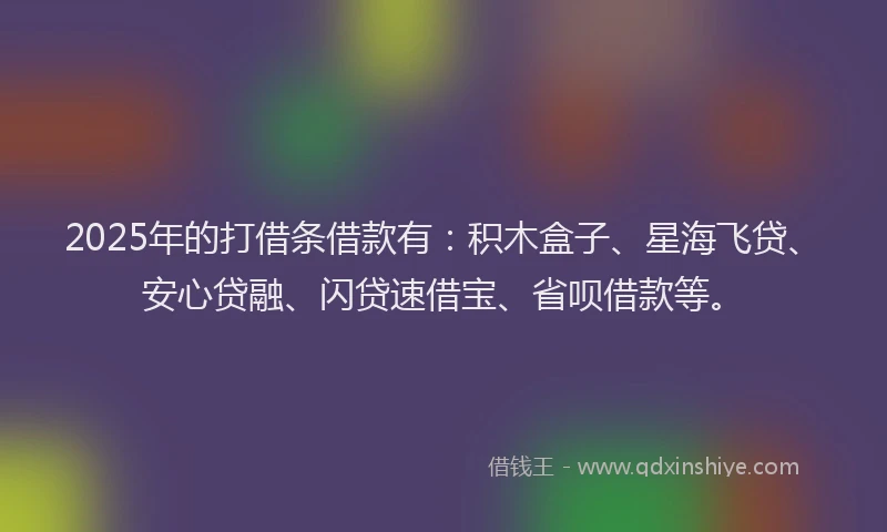 2025年的打借条借款有：积木盒子、星海飞贷、安心贷融、闪贷速借宝、省呗借款等。