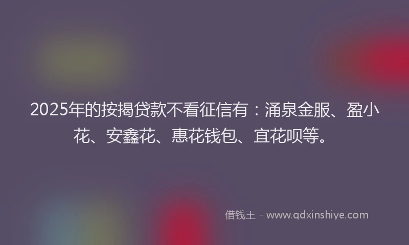 2025年的按揭贷款不看征信有：涌泉金服、盈小花、安鑫花、惠花钱包、宜花呗等。