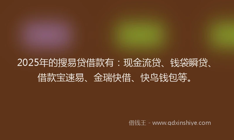 2025年的搜易贷借款有：现金流贷、钱袋瞬贷、借款宝速易、金瑞快借、快鸟钱包等。